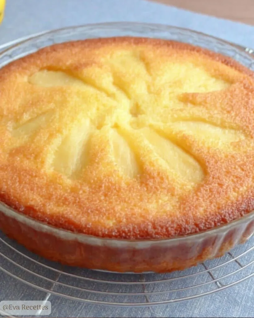 Gâteau aux Pommes à Tomber par Terre : Moelleux, Fondant et Facile 3 gateau-aux-pommes-moelleux-facile
